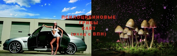ГАЛЛЮЦИНОГЕННЫЕ ГРИБЫ Надым