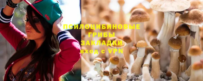 Галлюциногенные грибы Cubensis  где купить наркоту  Краснокаменск 