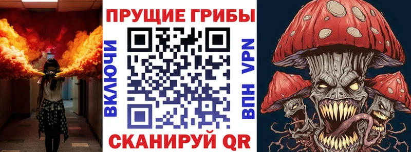 Псилоцибиновые грибы мухоморы  omg зеркало  Краснокаменск 