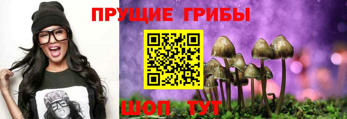 Псилоцибиновые грибы прущие грибы  Вход с VPN  Краснокаменск 